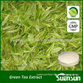 100% natual green tea polyphenols